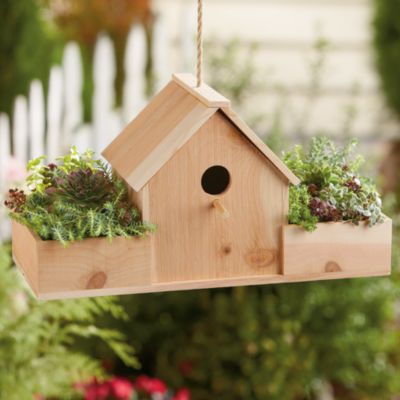 <span style=color:#bb0011>NEW</span> Birdhouse with Succulents Gift
