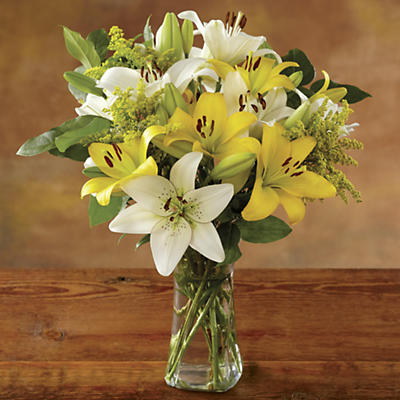A bright and beautiful fresh lily bouquet to celebrate warm and sunny days, this elegant bouquet is loaded with large white and yellow lilies, a favorite flower of many. This fresh-cut bouquet also in