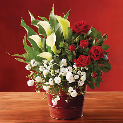 A red miniature rose, a white campanula, and a white calla lily nestle in a copper tin. The Holiday Garden Party is a lovely accent for holiday décor. This potted floral arrangement can be enjoye