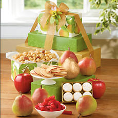 David's Gift Tower