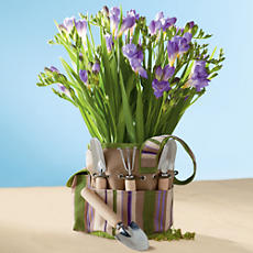 <span style=color:#bb0011>NEW</span> Freesia Garden Gift Tote