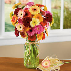<span style=color:#bb0011>NEW</span> Gerbera Daisy Bouquet