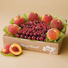 Classic Summer Fruit Duo