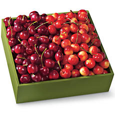 Cherry Oh! and Rainier Cherries