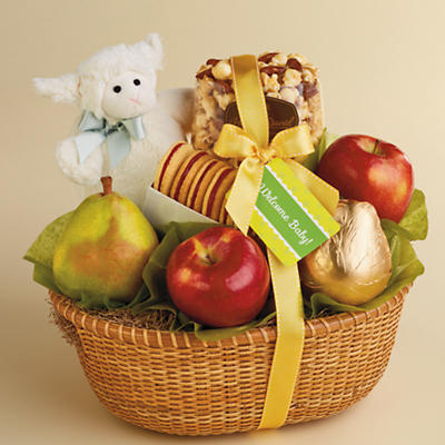 New Baby Gift Basket