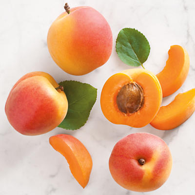 Northwest Apricots Northwest Apricots