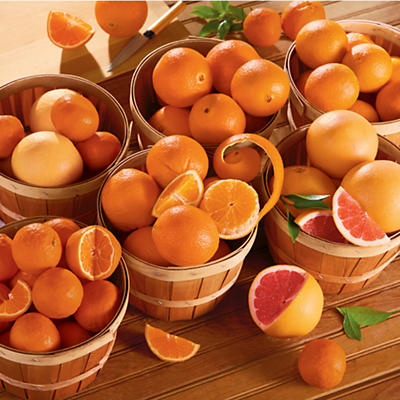 Citrus: Your Choice - Four Trays - 61055