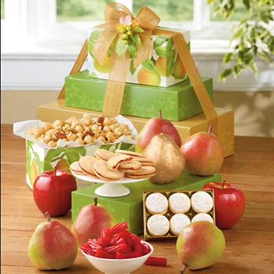 David's Gift Tower