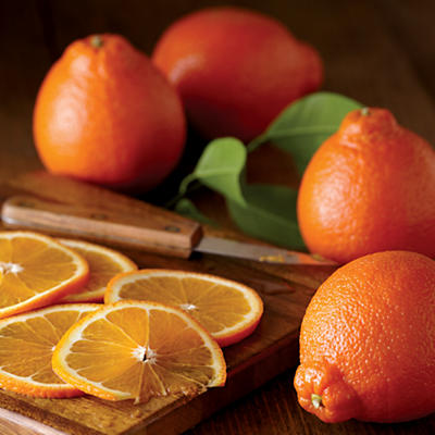 NEW Summer HoneyBells NEW Summer HoneyBells