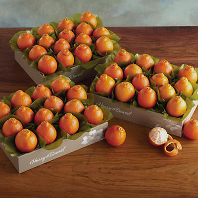Cushman's® HoneyBells - Three Trays - 61030