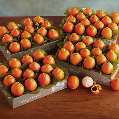 Cushman's® HoneyBells - Four Trays - 61040