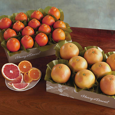 Cushman's® HoneyBells and Red Grapefruit - Two Trays - 61047