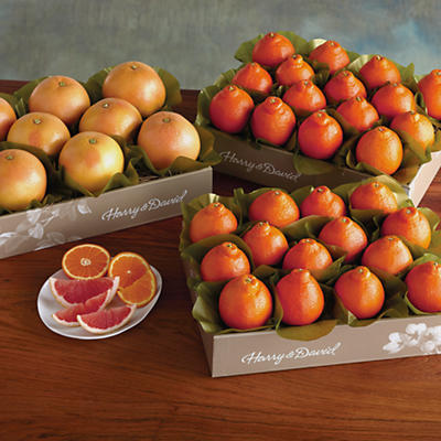 Cushman's® HoneyBells and Red Grapefruit - Three Trays - 61048