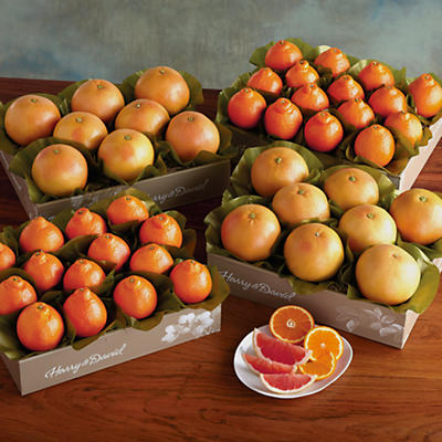 Cushman's® HoneyBells and Red Grapefruit - Four Trays - 61049