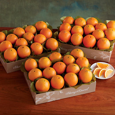 Navel Oranges - Three Trays Navel Oranges - Three Trays