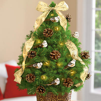 <span style=color:#bb0011>NEW</span> Pine Grove Christmas Tree <span style=color:#bb0011>NEW</span> Pine Grove Christmas Tree