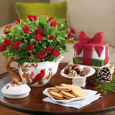<span style=color:#bb0011>NEW</span> Holiday Mini Rose Plant Gift <span style=color:#bb0011>NEW</span> Holiday Mini Rose Plant Gift