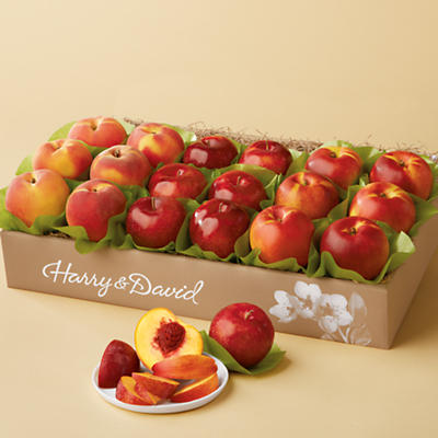 Summer Triple Treat™ Fruit Classic Summer Triple Treat™ Fruit Classic
