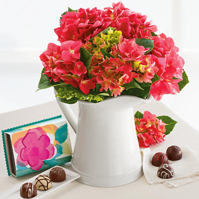 Hydrangea with Chocolates Hydrangea with Chocolates