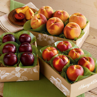Summer Triple Treat™ Fruit Classic Summer Triple Treat™ Fruit Classic