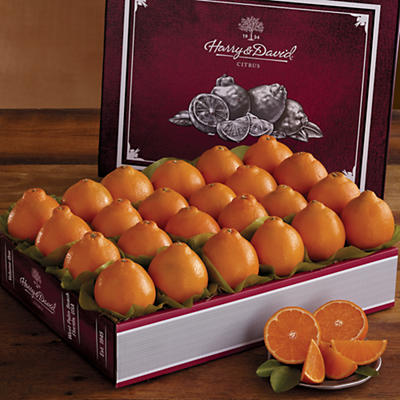 Cushman's® HoneyBell Heritage Box - 61041