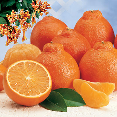 Cushman's® HoneyBells 8 Pounds Cushman's® HoneyBells 8 Pounds