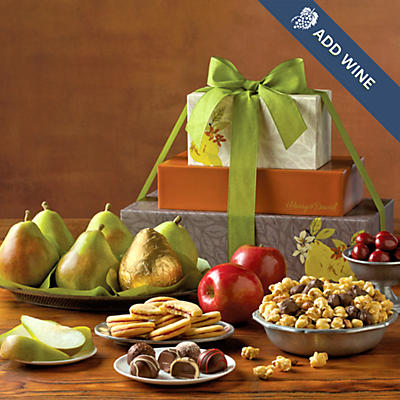 David's Gift Tower - 24918