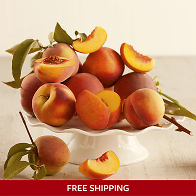 Oregold® Peaches Oregold® Peaches