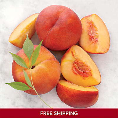 Organic Oregold® Peaches Organic Oregold® Peaches