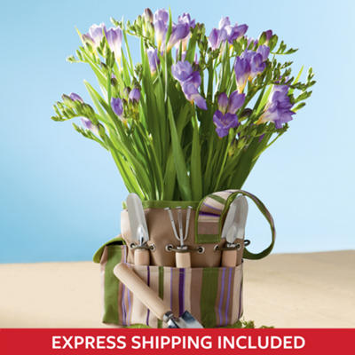 <span style=color:#bb0011>NEW</span> Freesia Garden Gift Tote