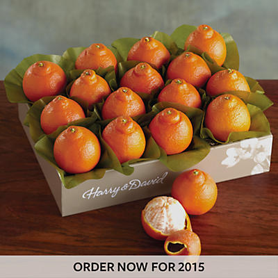Cushman's® Florida HoneyBells - One Tray Cushman's® Florida HoneyBells - One Tray