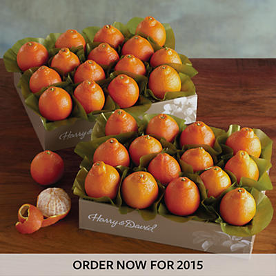 Cushman's® Florida HoneyBells - Two Trays Cushman's® Florida HoneyBells - Two Trays