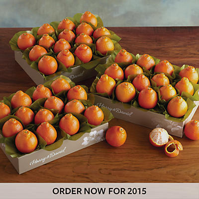 Cushman's® Florida HoneyBells - Three Trays Cushman's® Florida HoneyBells - Three Trays
