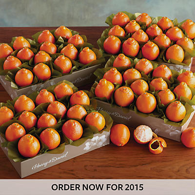 Cushman's® Florida HoneyBells - Four Trays Cushman's® Florida HoneyBells - Four Trays