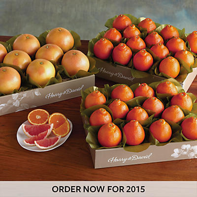 Cushman's® HoneyBells and Red Grapefruit - Three Trays Cushman's® HoneyBells and Red Grapefruit - Three Trays