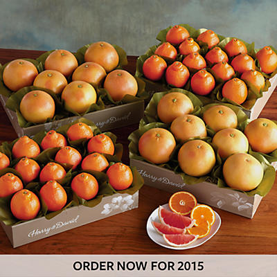 Cushman's® HoneyBells and Red Grapefruit - Four Trays Cushman's® HoneyBells and Red Grapefruit - Four Trays