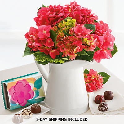 Hydrangea with Chocolates Hydrangea with Chocolates