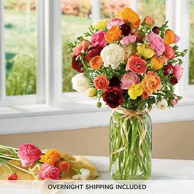 Ranunculus Bouquet Ranunculus Bouquet