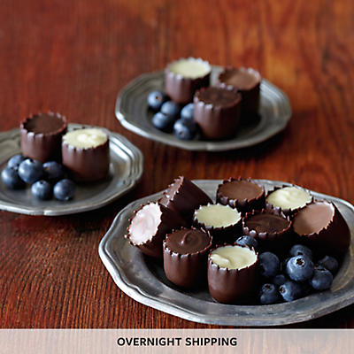 NEW Chocolate Covered Blueberries - One Dozen NEW Chocolate Covered Blueberries - One Dozen